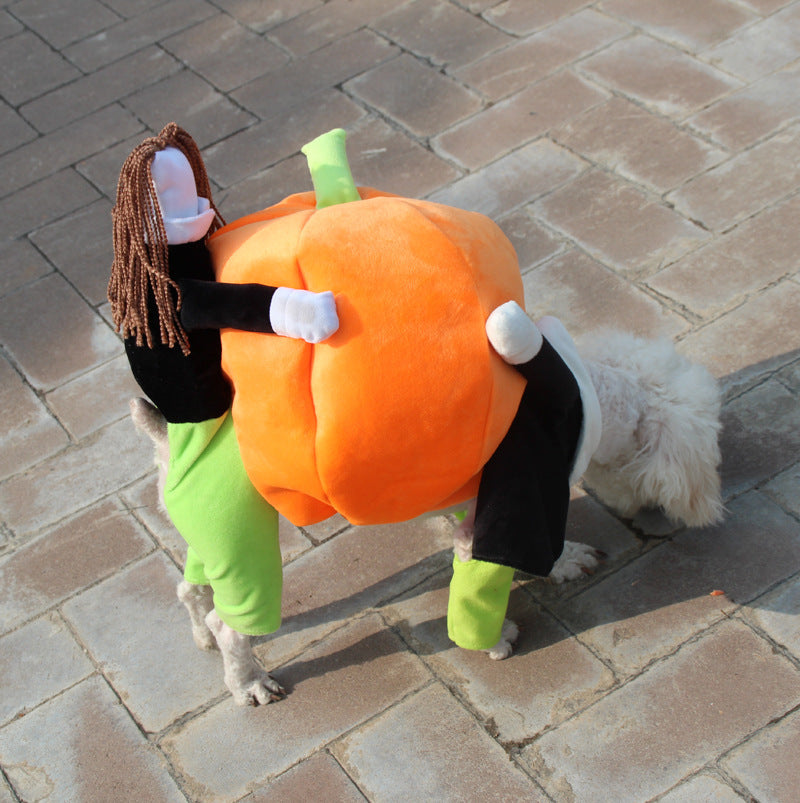 Halloween costume for dogs and cats