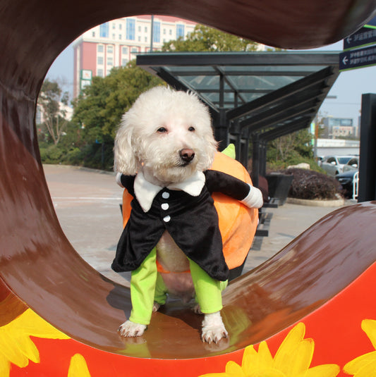 Halloween costume for dogs and cats