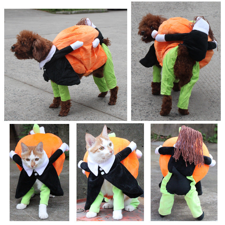 Halloween costume for dogs and cats