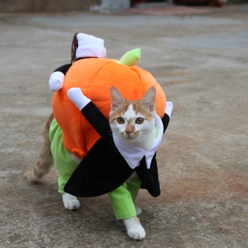 Halloween costume for dogs and cats