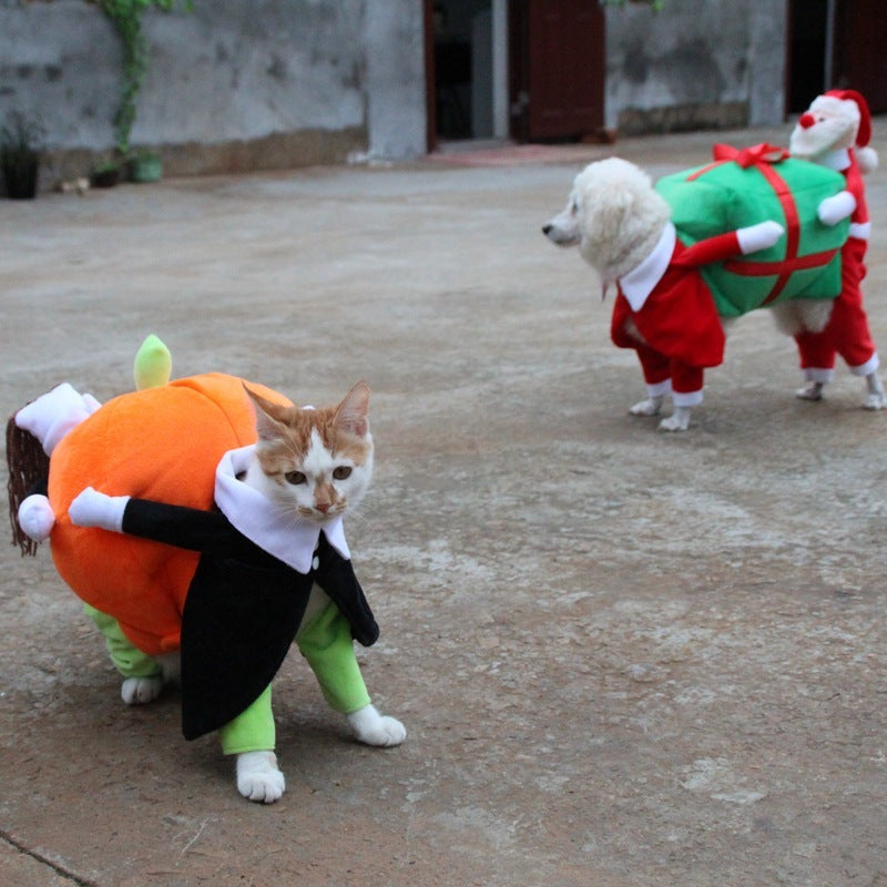 Halloween costume for dogs and cats