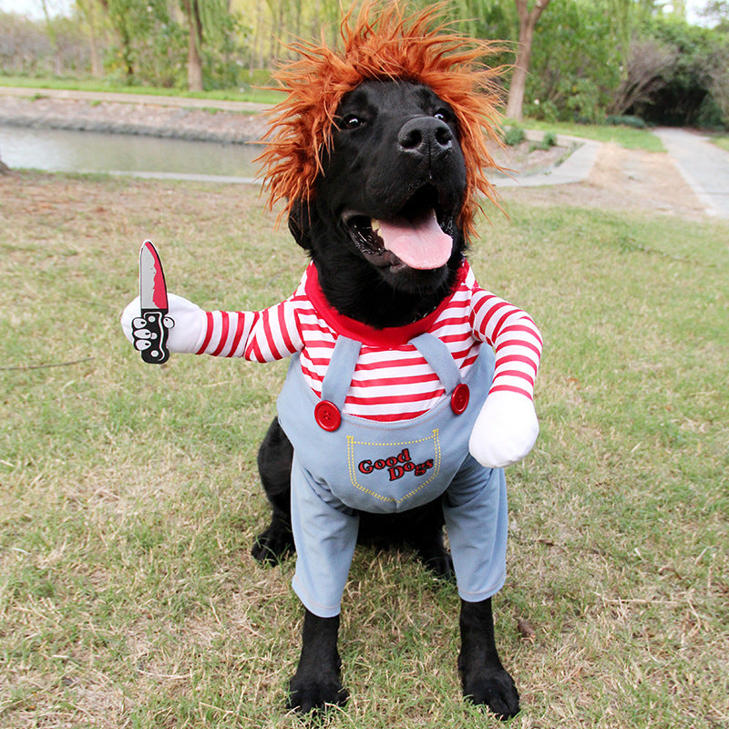 Deadly Doll Pet Costume for Halloween.