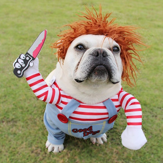 Deadly Doll Pet Costume for Halloween.
