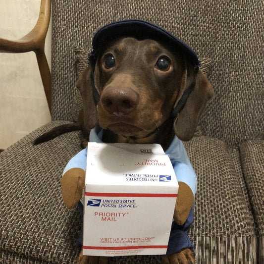Dog Express Pet Costume