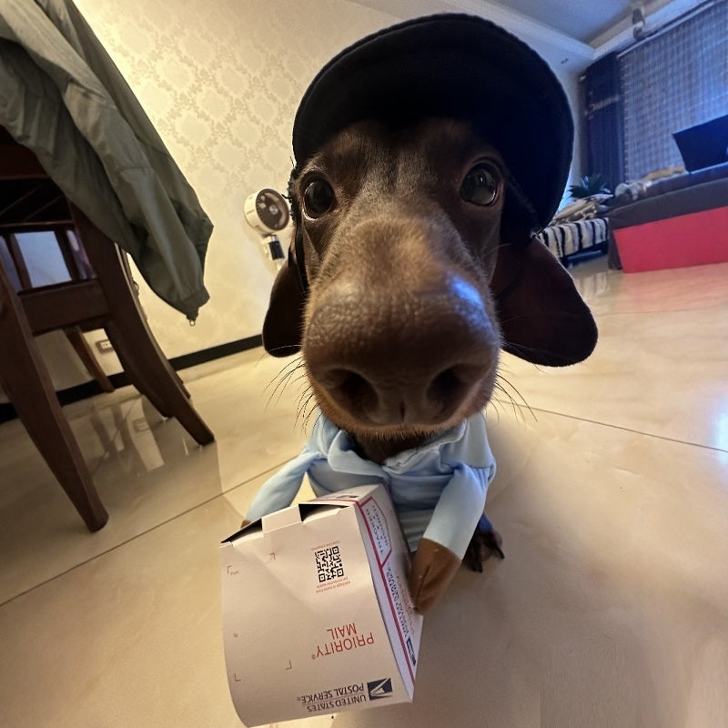 Dog Express Pet Costume