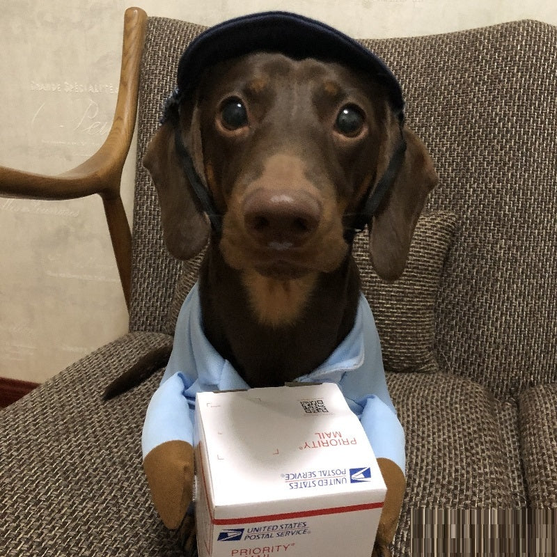 Dog Express Pet Costume
