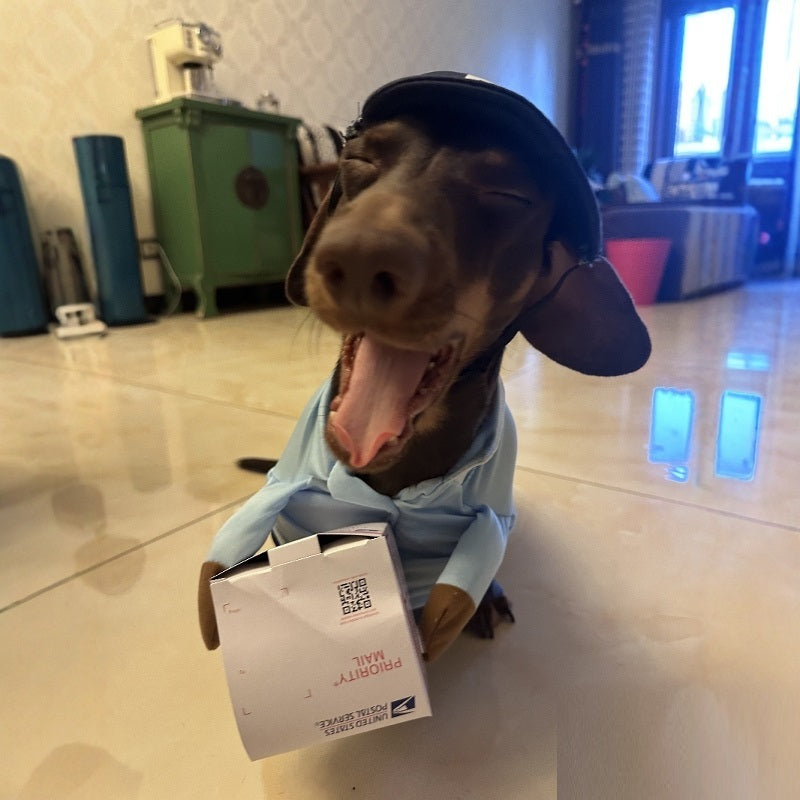 Dog Express Pet Costume