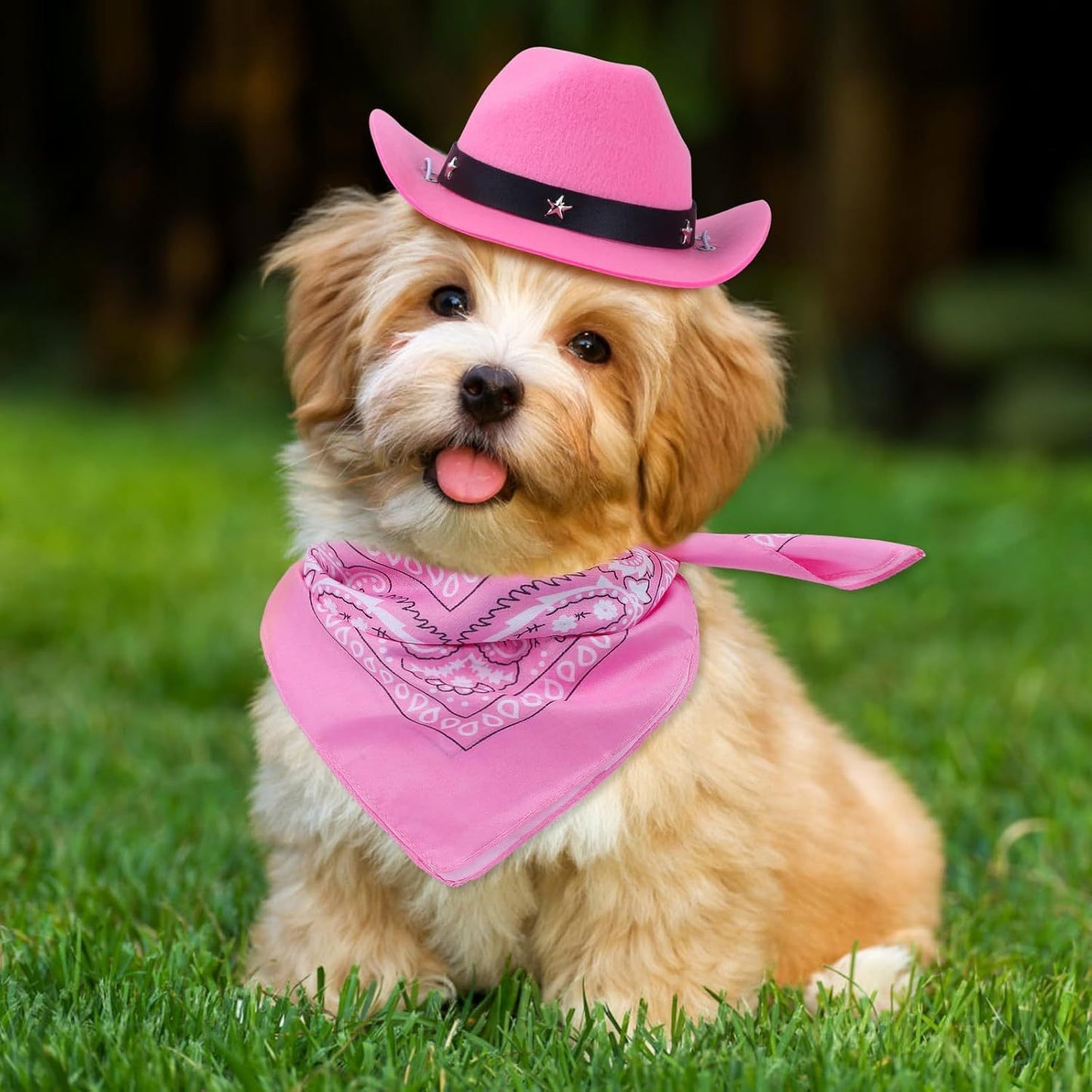 dogs Cowboy Costume